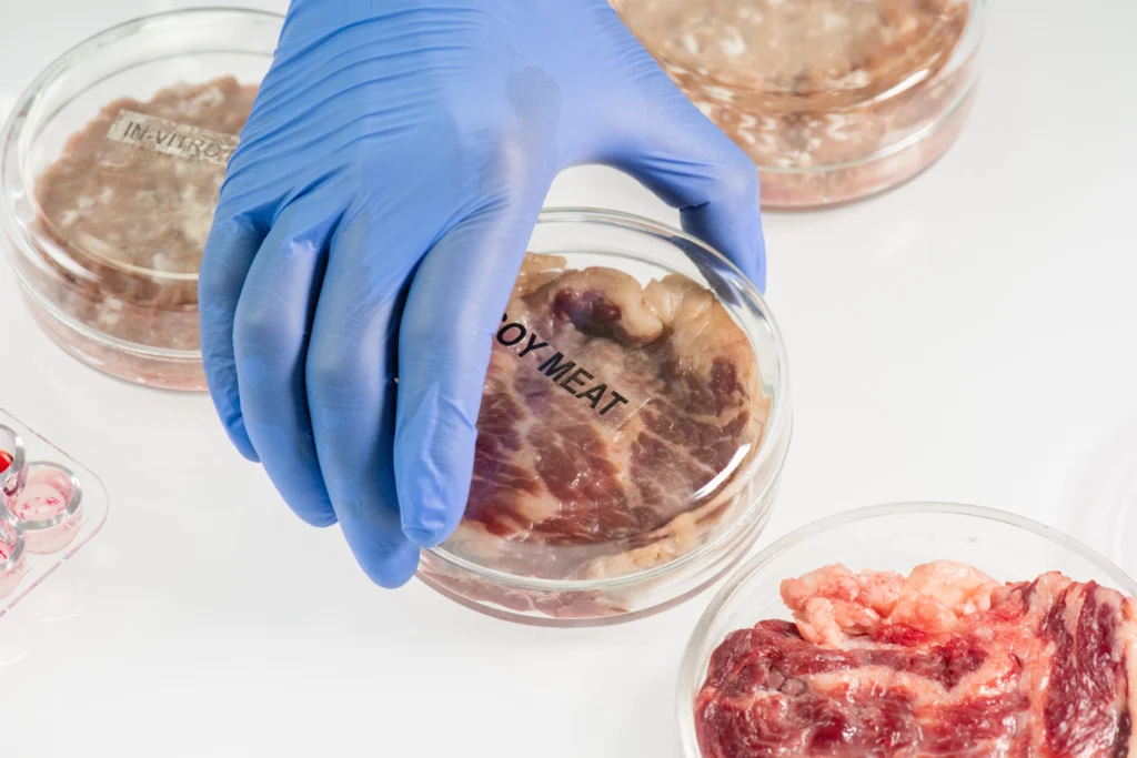 Mão enluvada de trabalhador de laboratório a pegar numa placa de Petri coberta com amostra de carne de soja crua enquanto investiga as características e qualidade